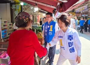 추미애 “도지사 하나만 뽑히면 안돼… 31개 시군 모두 뽑아달라”
