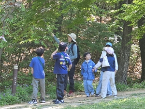 도심 생태놀이터… 남양주 ‘황금산문화공원 유아숲체험원’ 인기