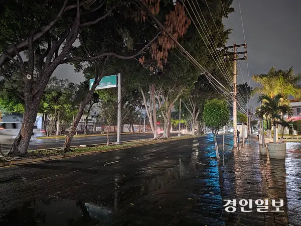 13일(현지시간) 밤 멕시코 과달라하라의 한 거리. 밤마다 내리는 폭우로 도로 곳곳에 물 웅덩이가 생겼다. 2026.6.13 과달라하라(멕시코)/이영선 기자 zero@kyeongin.com