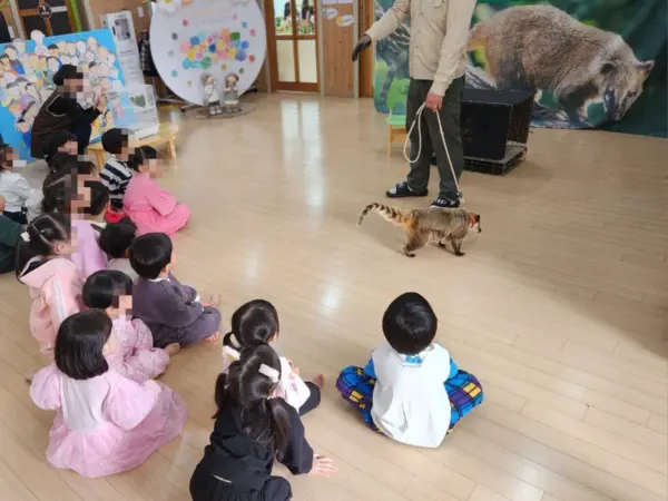 현행법상 포유류 동물을 동물원이 아닌 곳에 이동시켜 전시하거나 체험하도록 하는 행위는 징역 2년 이하 징역 또는 2천만원 이하 벌금에 처해질 수 있다. 사진은 어웨어 측이 실태조사를 통해 파악한 이동 동물원 서비스 제공 현장. / 어웨어 제공