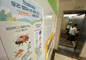 인천 계양산·서울 백련산 ‘러브버그’ 성충 다수 확인… “친환경 방제제로 퇴치”