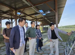 추미애 경기도지사 준비위, 파주 DMZ 찾아 평화관광 활성화 논의