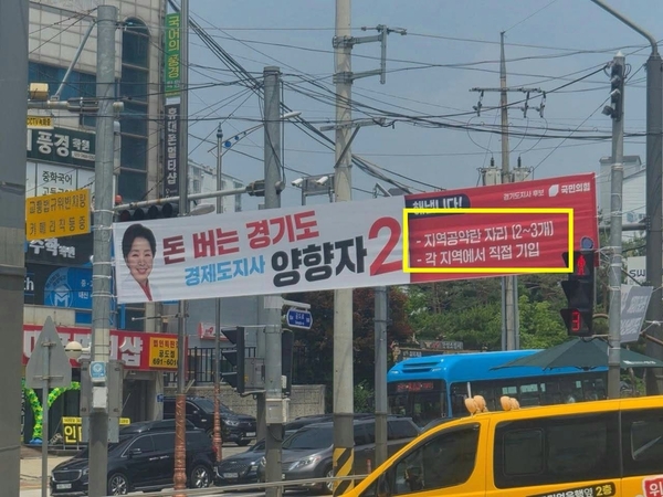 지난 6·3 지방선거 기간 안성시에 게시된 양향자 국민의힘 경기도지사 후보의 현수막에는 지역공약란이 비어 있는 채로 걸려있다. /조응천 개혁신당 경기도지사 후보 SNS 캡처
