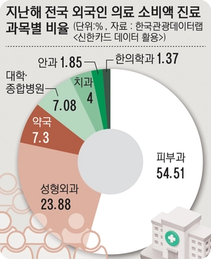[경인 WIDE] 외국인들, 대학·종합병원보다 피부과·성형외과 찾는다
