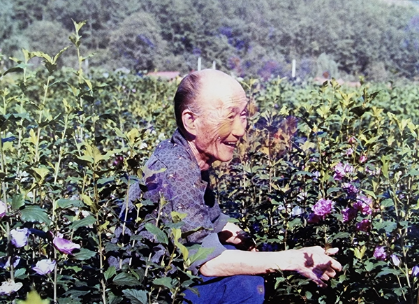 고(故) 윤극영 선생은 1973년부터 무궁화 심기 운동을 펼치기도 했다. /(사)이음줄진흥협회 제공