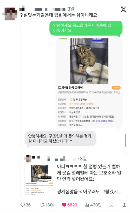 지난 주말 X(옛 트위터)에서 화성시민동물보호센터 공고 속 동물이 삵으로 보인다는 의문이 제기됐고, 이후 실제 삵으로 확인됐다. 사진은 관련 게시글 갈무리. /X 캡처