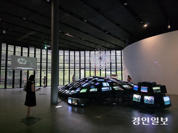 ‘달들’ 전시 전경. 2026.7.20 /구민주기자 kumj@kyeongin.com