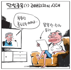 [경인만평] 단일종목(?) 레버리지의 시대