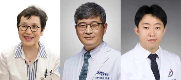 분당서울대병원 김나영 교수, 가톨릭의대 김병욱 교수, 한림대의대 방창석 교수(왼쪽부터). /분당서울대병원 제공