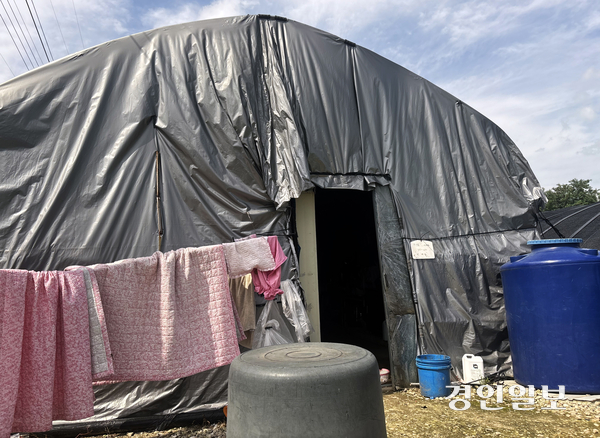 지난 24일 방문한 포천시의 한 농장 주변에 이주노동자들의 숙소로 추정되는 시설물 앞에 빨래가 널려있다. 2026.7.24 /이영지기자 bbangzi@kyeongin.com