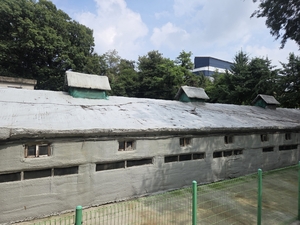 “하루 수백 마리씩 죽는다”… 폭염에 신음하는 경기 축산농가