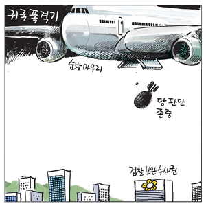 [경인만평] 귀국 폭격기
