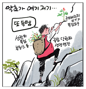 [경인만평] 약초가 여기저기…