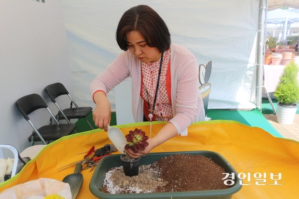 정현덕 고양시 농업기술센터 팀장이 2026 고양국제꽃박람회 식물병원에서 식물을 돌보고 있다. 고양/김도란기자 doran@kyeongin.com