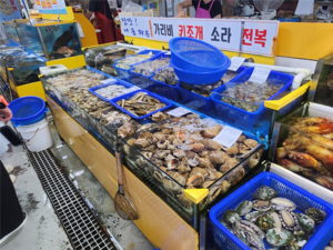 “잡을 게 없다”… 경기 갯벌서 바지락이 사라진다