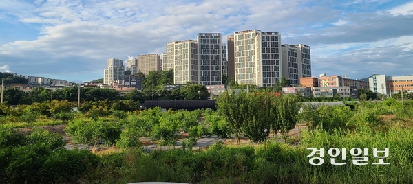 지난 13일 정부에서 신규 공공택지로 발표한 경기 광주시의 장지동 ‘광주역세권2단계’ 일원. 개발행위허가 제한지역으로 10년 가까이 개발이 이뤄지지 못했으며, 뒤편으로는 이미 개발을 마친 광주역세권 1단계 아파트 단지들이 들어서 있다. 2026.8.14 광주/이윤희기자 flyhigh@kyeongin.com
