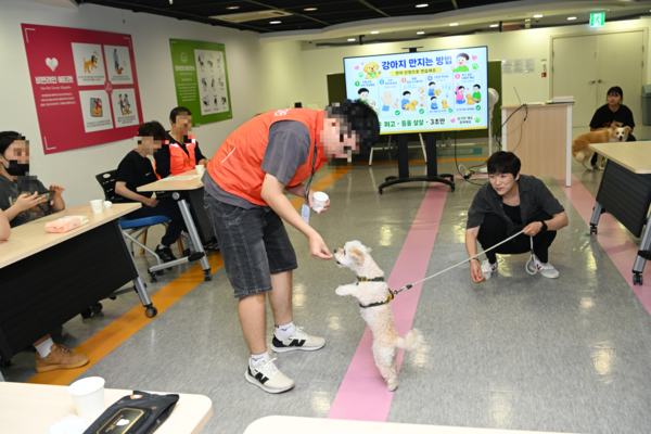 구리 반려동물문화센터 교육실. 지난 26일 발달장애인 6명이 강아지를 대하는 방법을 익혔다. 발달장애인 성민(가명)씨가 유기견 조이에게 ‘앉아’, ‘손’ 등의 신호에 따라 행동하면 간식을 주는 연습을 하고 있다. 사진은 취재에 동행한 구리시 홍보팀이 촬영했다. 2026.8.26 /구리시 제공