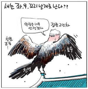 [경인만평] 새는 좌, 우, 꼬리 날개로 난다??