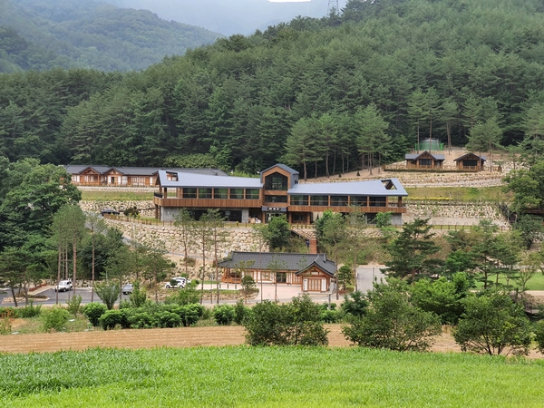 치유의 숲 전경. /삼척시 제공