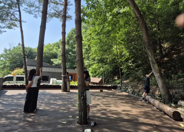 치유의 숲을 찾은 방문객들의 체험활동. /삼척시 제공