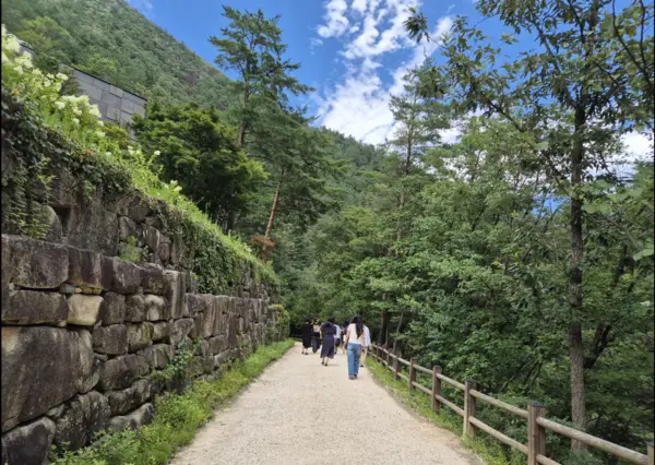치유의 숲을 찾은 방문객들의 체험활동. /삼척시 제공