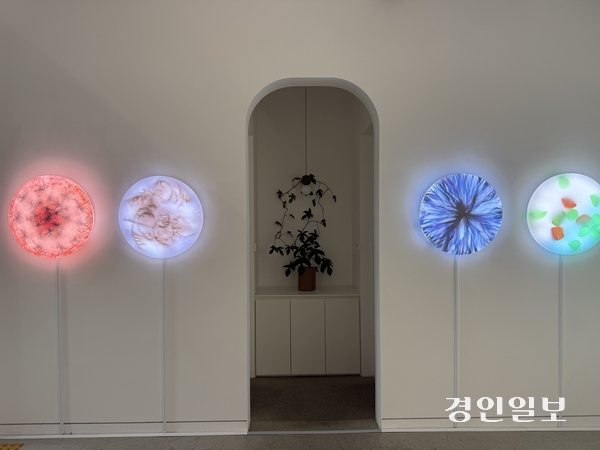 김유정 개인전  ‘옮겨진 자리마다’ 전시장 조명 설치 작품. 2026.8.30 /박경호기자 pkhh@kyeongin.com