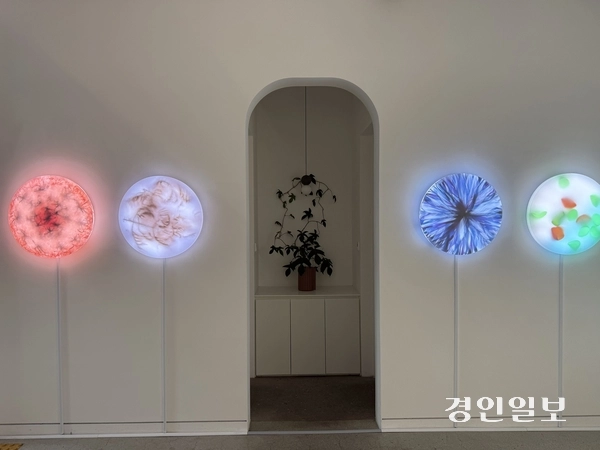 김유정 개인전  ‘옮겨진 자리마다’ 전시장 조명 설치 작품. 2026.8.30 /박경호기자 pkhh@kyeongin.com