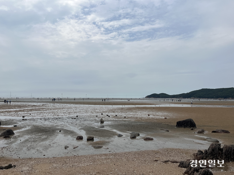 인천 영종구 무의도 하나개해수욕장에 썰물로 물이 빠지면서 넓은 갯벌이 모습을 드러내고 있다. 영종과 강화 등 인천 갯벌은 멸종위기 조류 등 수많은 생물이 살아가는 터전이다. 2026.9.1 /송윤지기자 ssong@kyeongin.com