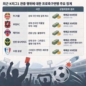 비하·혐오 악순환 ‘프로축구 응원’… “연맹이 명확한 기준·교육체계 구축해야”