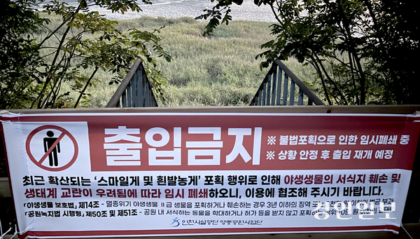 최근 ‘스마일게’로 불리는 도둑게 등의 불법 포획이 잇따르자 인천시설공단이 영종구 송산유수지 출입을 임시 통제하고 있다. 사진은 지난 11일 송산유수지 입구에 설치된 출입금지 현수막. 2026.9.11 /송윤지기자 ssong@kyeongin.com