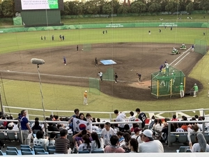 “우승 가자 팀코리아” 오카자키 시민구장 채운 KBO 야구팬들 [백효은기자의 백점만점 나고야]