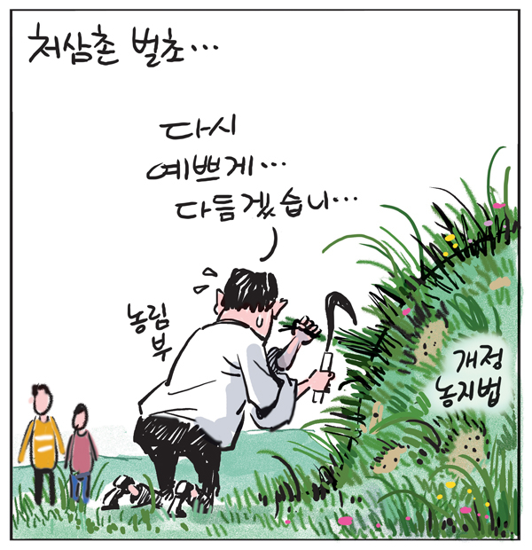처삼촌 벌초…