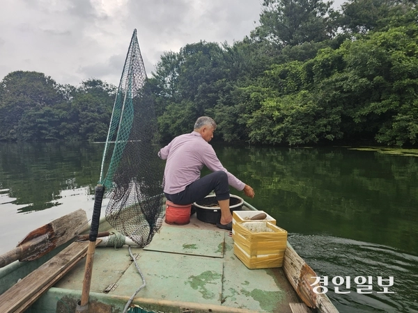 어부 임춘일씨가 팔당호에서 장어를 잡기 위해 물속에 주낙을 넣고 있다. 2026.7.6 /이종우기자 ljw@kyeongin.com