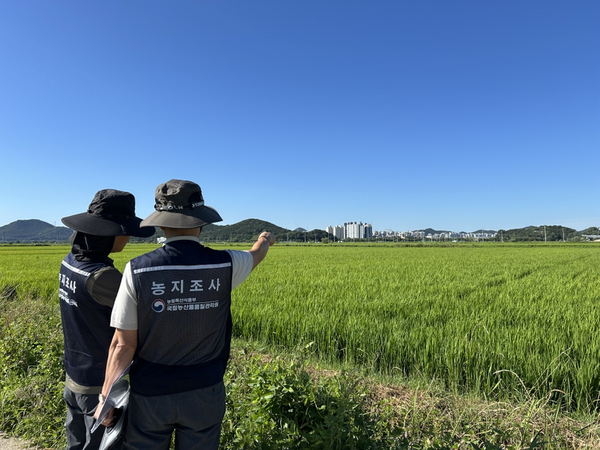 국립농산물품질관리원이 농지 심층조사와 추진상황을 점검하고 있다. /농림축산식품부 제공