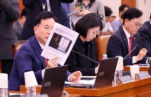 국힘, 암살자(들) 역사왜곡 논란에 상영중단 압박