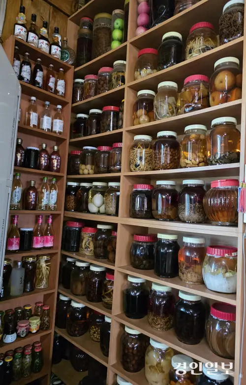 강화군 하점면 점촌에 사는 전복섭 선생은 집에서 부인이 담근 술을 거실에 진열해 놓고 있다. 전 선생 부인께서는 강화에서 나는 인삼이며 열매들만으로 술을 담그고 있다. 2026.9.27 /정진오기자 schild@kyeongin.com
