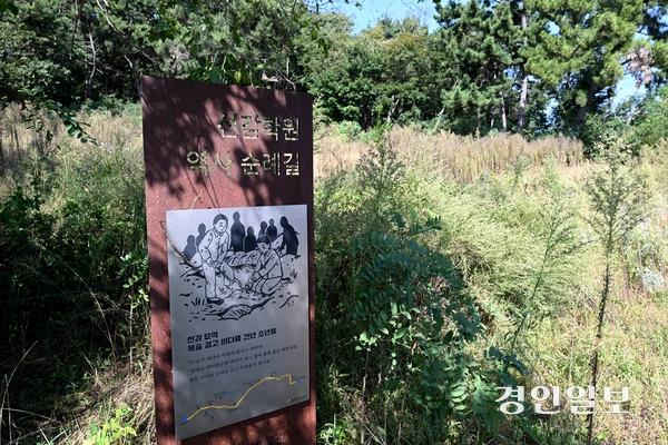 경기도가 선감학원 옛터에 역사문화공간을 조성하는 사업이 정부의 내년도 본예산안에 관련 국비가 반영되지 않아 첫 삽을 뜨지도 못한 채 표류할 위기에 놓였다. 사진은 1일 안산시 일대 선감학원 옛터에 남아 있는 아동집단수용시설 모습. 2026.9.29 /최은성기자 ces7198@kyeongin.com