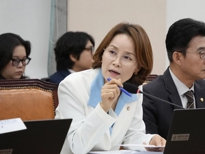 해외 K팝팬 3명중 2명 “항공권프로모션? 몰라요”