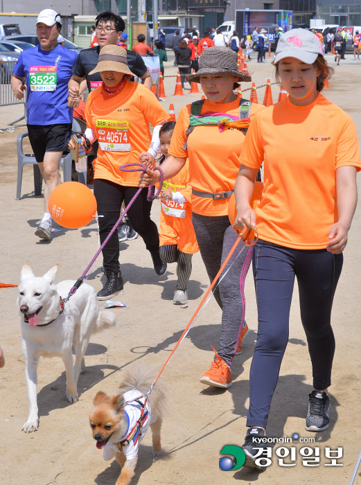 [화보]제18회 화성효마라톤대회 현장