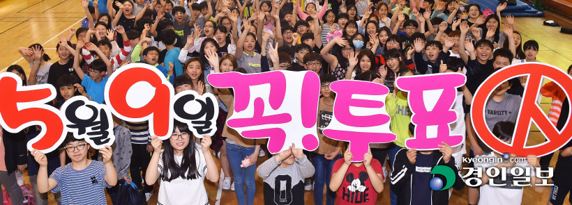 투표