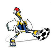 2017090501000270400011876
