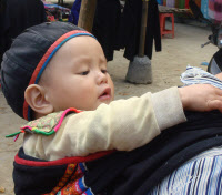 17-DSC08426