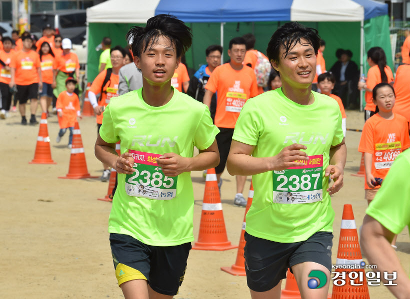 [화보]제19회 화성 효마라톤대회