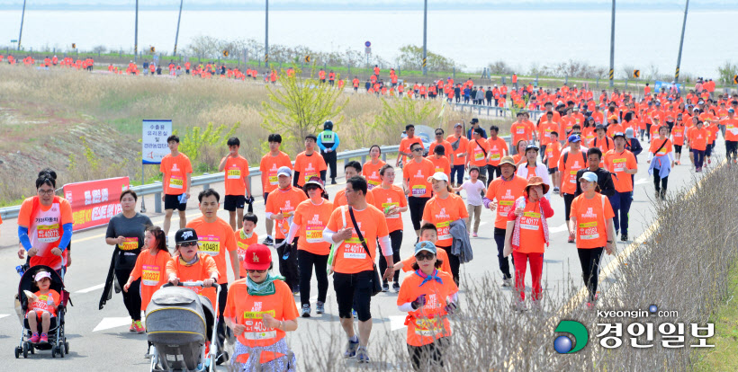 [화보]제19회 화성 효마라톤대회