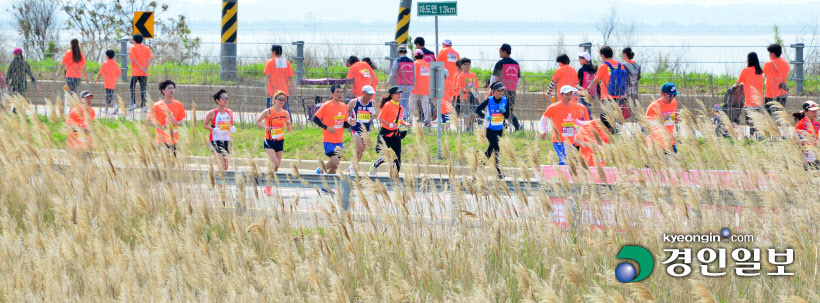 [화보]제19회 화성 효마라톤대회