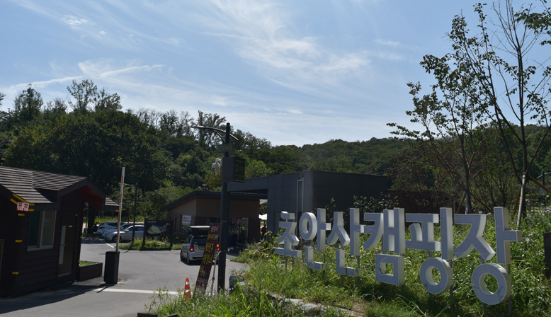555.jpg