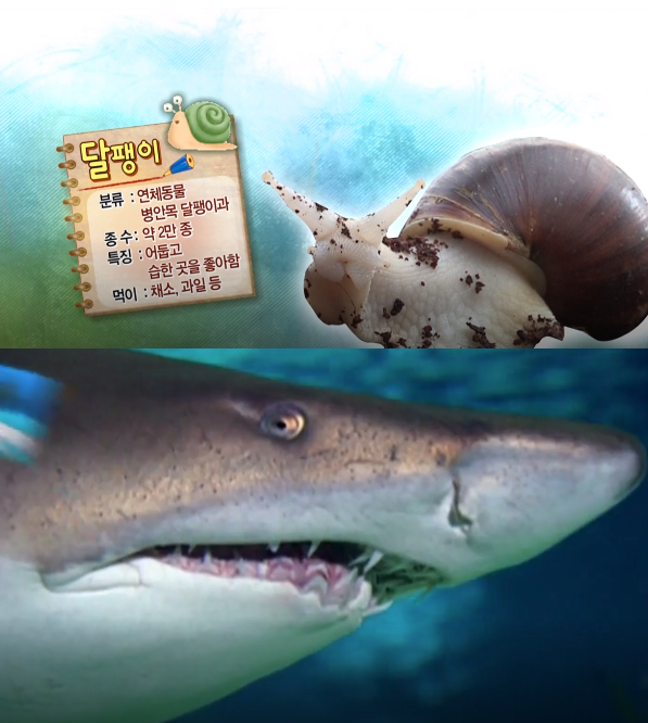 dsfsdfsldkjf.jpg