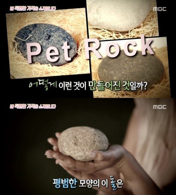 애완돌.jpg