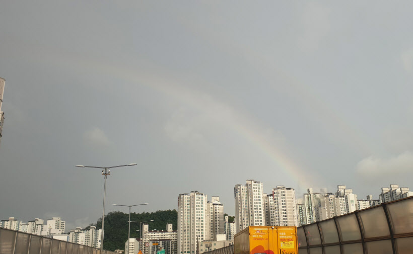 2019081601001158800054241.jpg