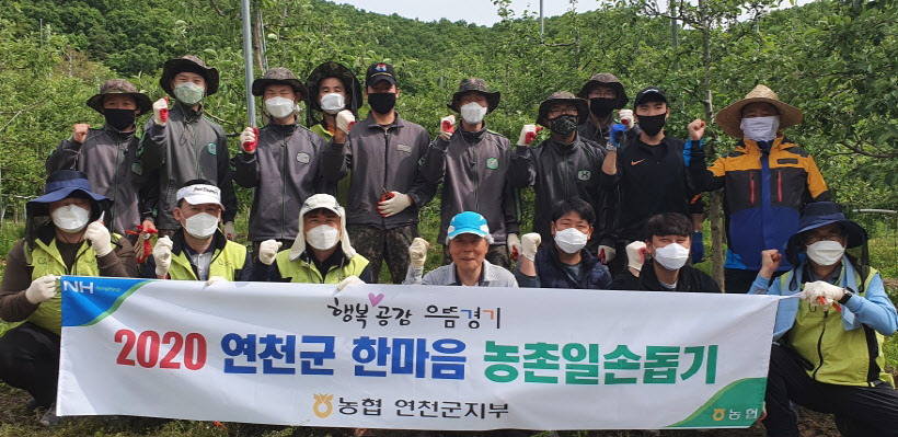 연천 농협 군장병 농촌일손돕기